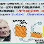  mlxg力挺doinb 